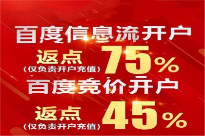 案例剖析：SEM代运营服务公司的优势与挑战