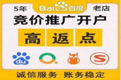 SEM托管公司成功案例：助力企业品牌提升